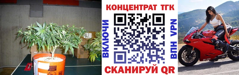Дистиллят ТГК THC oil  наркота  ссылка на мегу сайт  Пушкино 