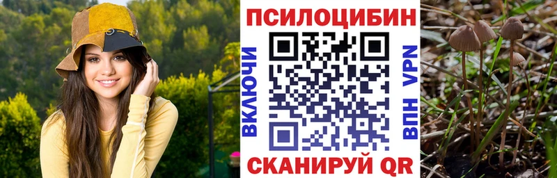 Галлюциногенные грибы Cubensis  Пушкино 