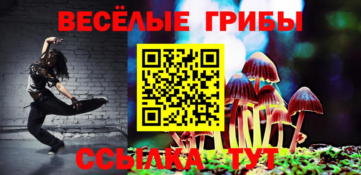 Пушкино  Псилоцибиновые грибы GOLDEN TEACHER  Вход с VPN  купить наркотики цена  Галлюциногенные грибы Cubensis 